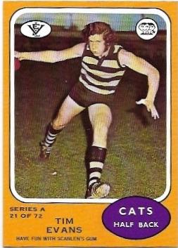 1973 A VFL Scanlens (21) Tim Evans Geelong *