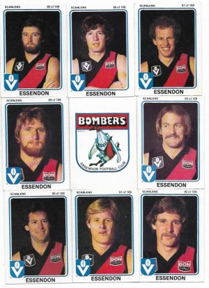 1981 VFL Scanlens Essendon Team Set (15 Cards) #
