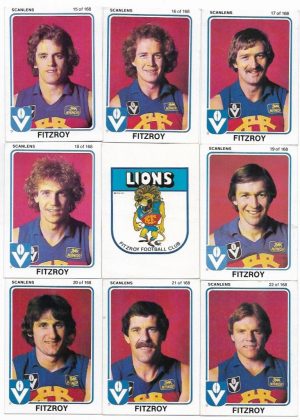 1981 VFL Scanlens Fitzroy Team Set (15 Cards) #