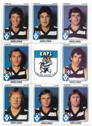 1981 VFL Scanlens Geelong Team Set (15 Cards) #