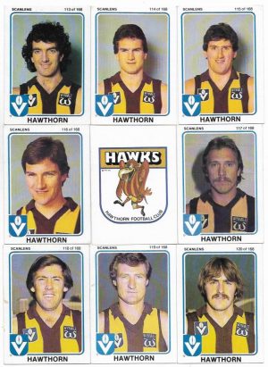 1981 VFL Scanlens Hawthorn Team Set (15 Cards) #