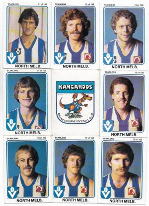1981 VFL Scanlens North Melbourne Team Set (15 Cards) #