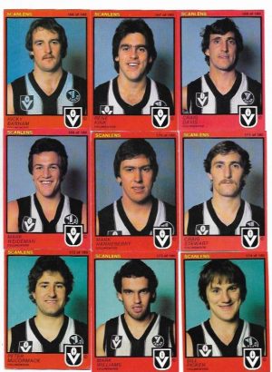 1982 VFL Scanlens Collingwood Team Set (15 Cards) #