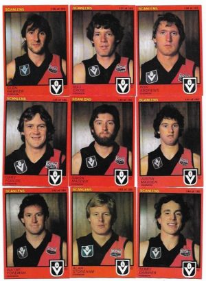 1982 VFL Scanlens Essendon Team Set (15 Cards) #