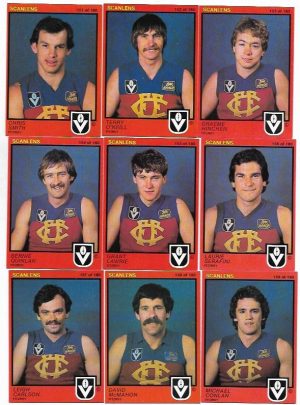 1982 VFL Scanlens Fitzroy Team Set (15 Cards) #