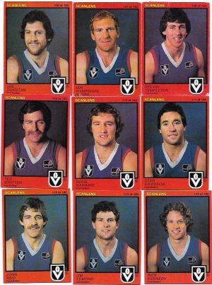 1982 VFL Scanlens Footscray Team Set (15 Cards) #