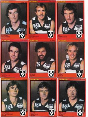 1982 VFL Scanlens Geelong Team Set (15 Cards)