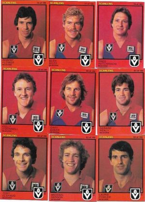 1982 VFL Scanlens Melbourne Team Set (15 Cards)