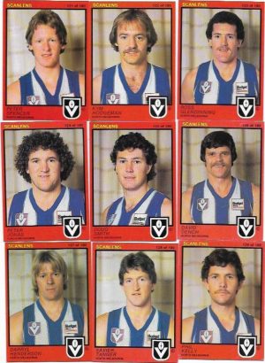 1982 VFL Scanlens North Melbourne Team Set (15 Cards)