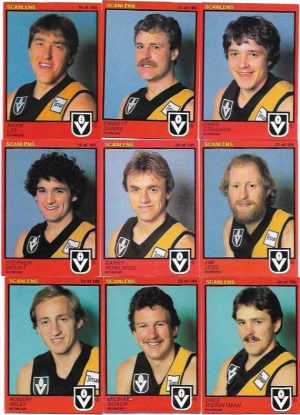1982 VFL Scanlens Richmond Team Set (15 Cards)