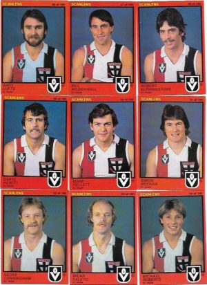 1982 VFL Scanlens St. Kilda Team Set (15 Cards)