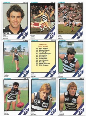 1984 VFL Scanlens Geelong Team Set (11 Cards) #