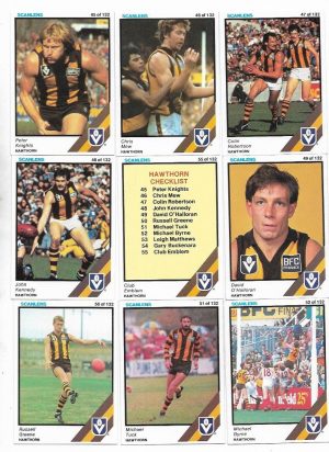 1984 VFL Scanlens Hawthorn Team Set (11 Cards) #