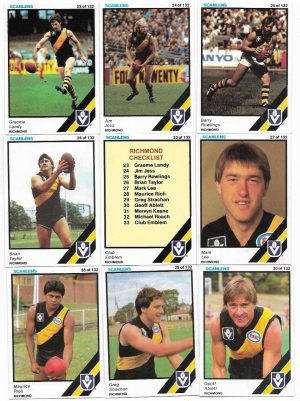 1984 VFL Scanlens Richmond Team Set (11 Cards) #