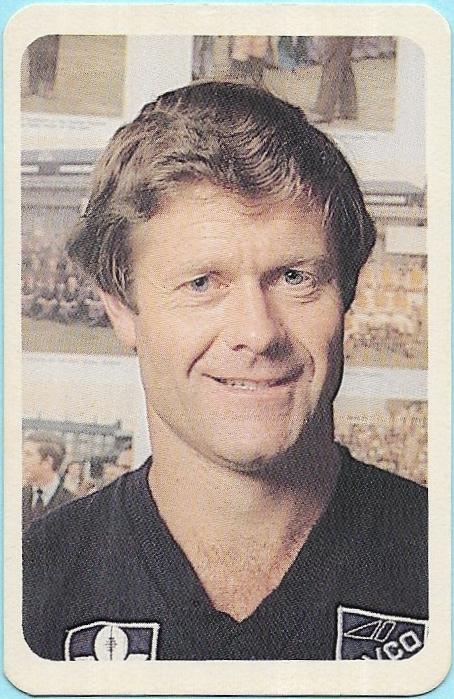 1981 Ardmona Series 1 Carlton – David Parkin