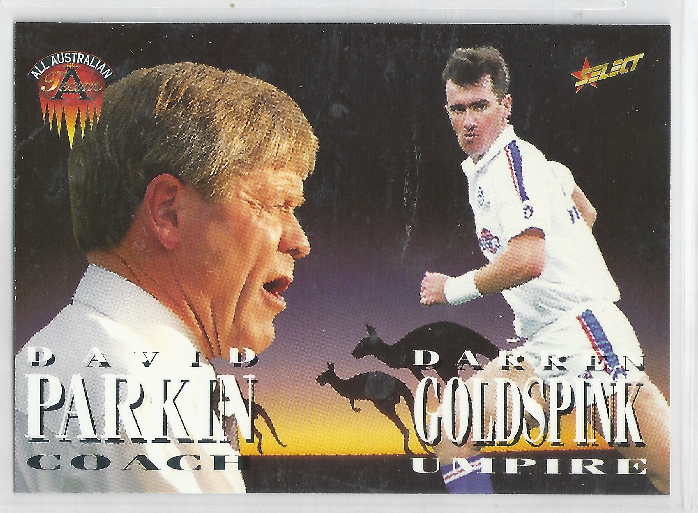 1996 Select All Australian (227) Parkin & Goldspink