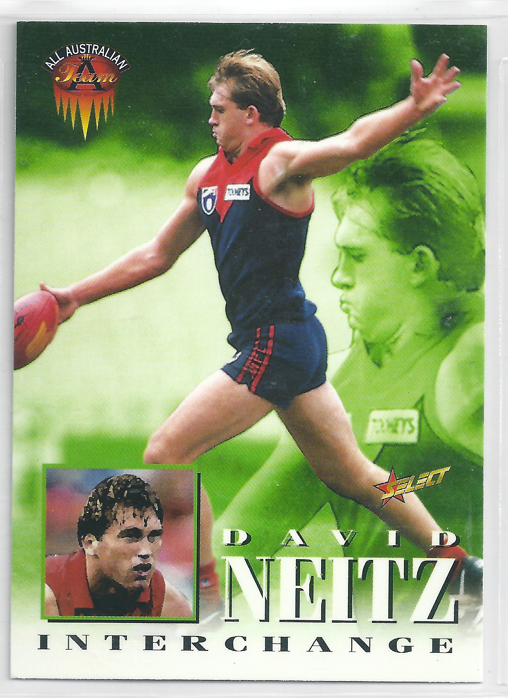 1996 Select All Australian (247) David Neitz Melbourne