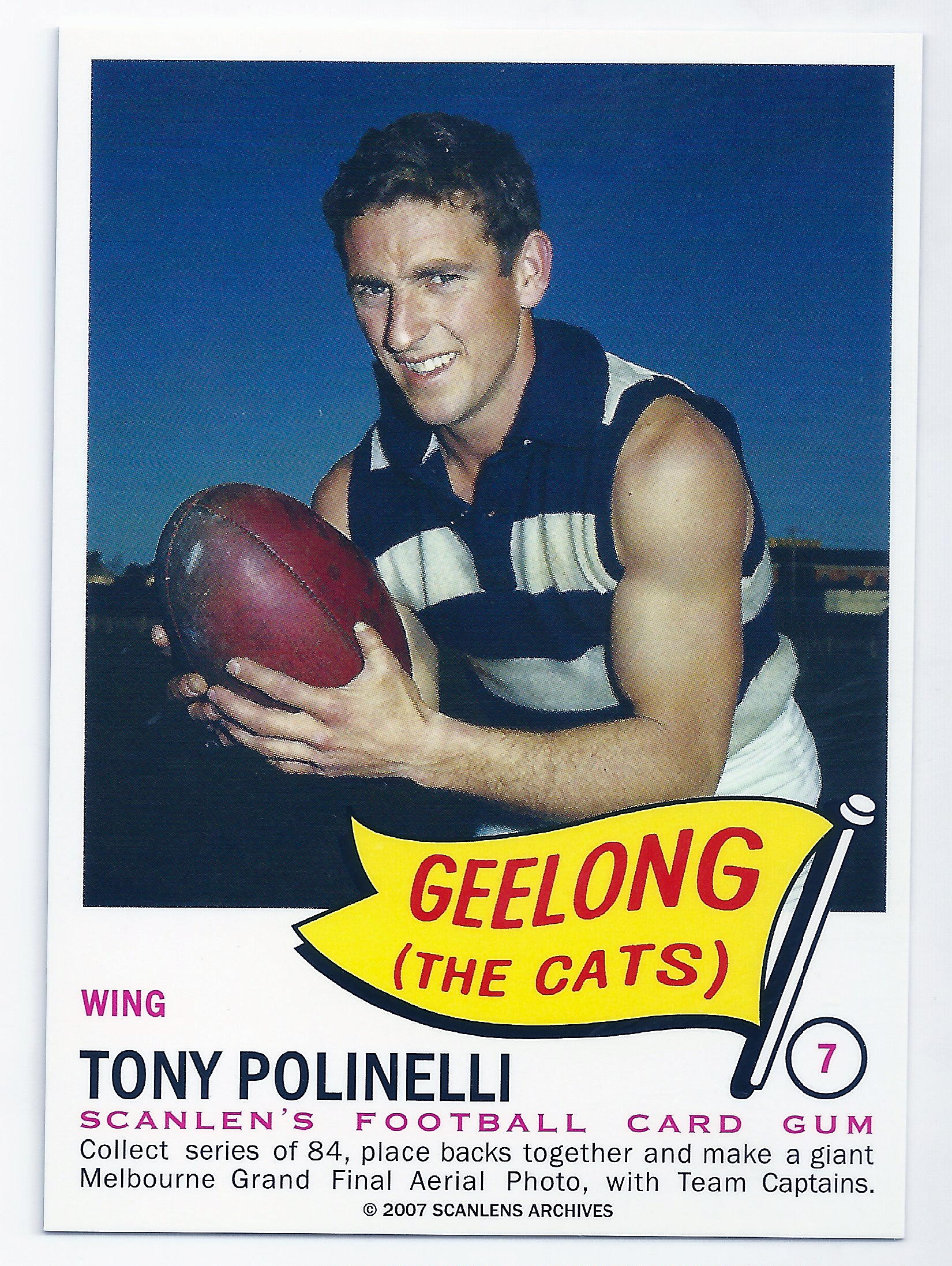 2007 – 1966 Scanlens Flag Archives (7) Tony Polinelli Geelong